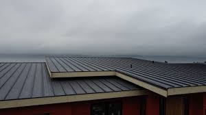 Best Metal Roofing Installation  in Albertville, MN